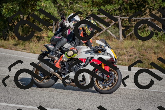 202510191337-DSC_7910_c4_