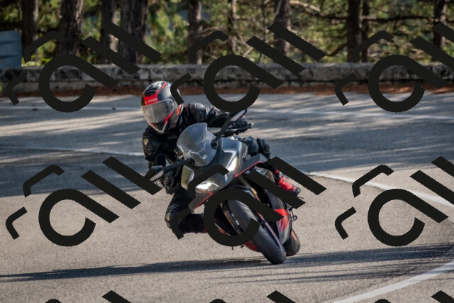 202510191341-DSC_7912_c4_