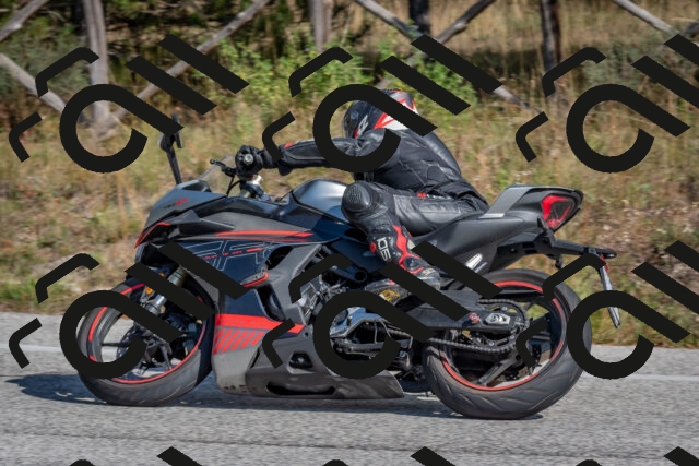 202510191341-DSC_7914_c4_