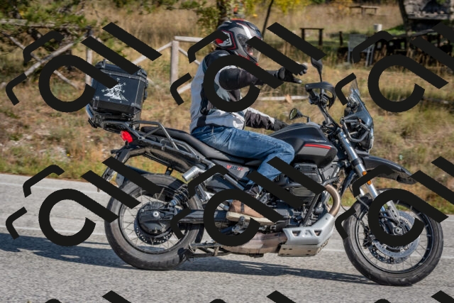 202510191344-DSC_7917_c4_