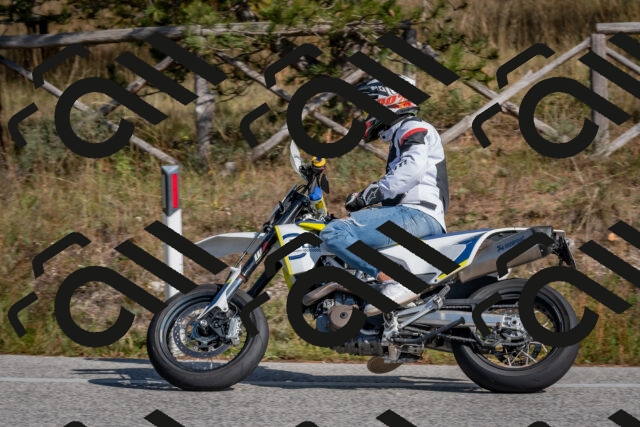 202510191346-DSC_7921_c4_