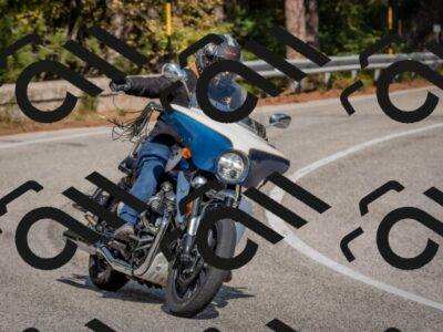 202510191354-DSC_7931_c4_