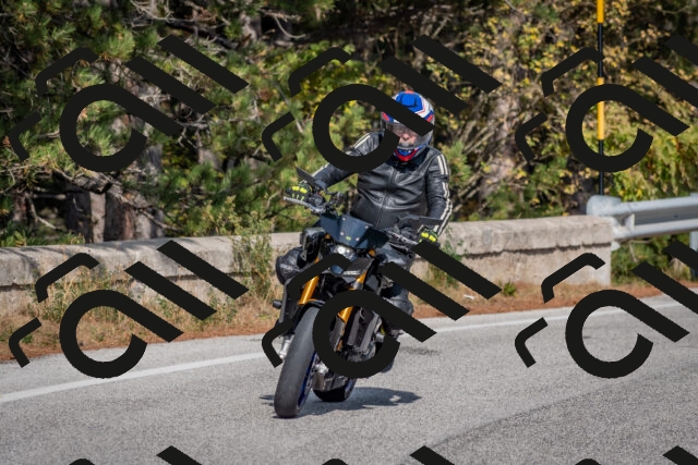 202510191357-DSC_7934_c4_