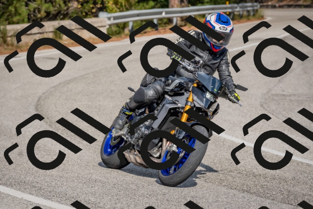 202510191357-DSC_7935_c4_