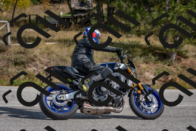 202510191357-DSC_7936_c4_