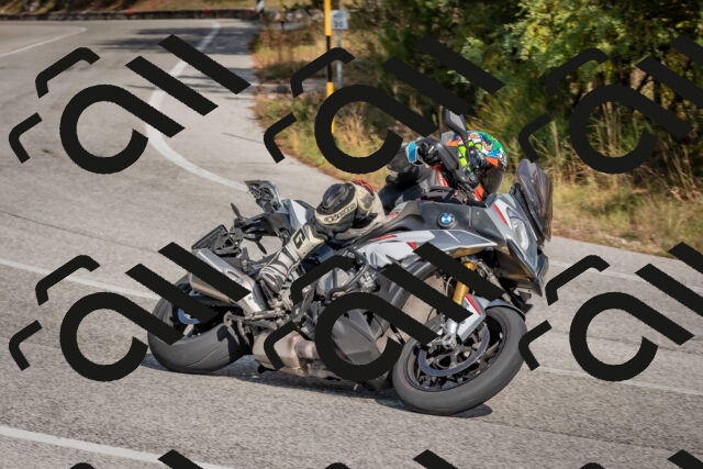 202510191359-DSC_7939_c4_