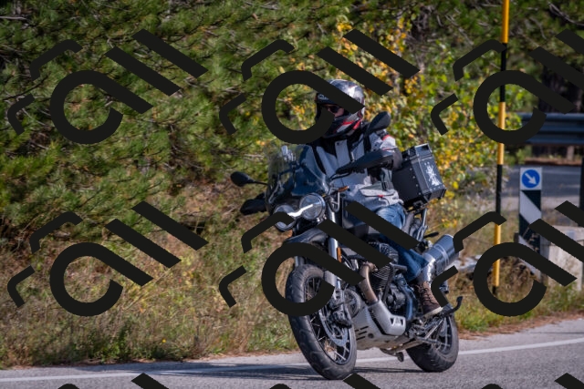 202510191408-DSC_7942_c4_