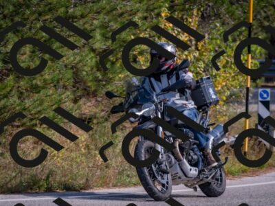 202510191408-DSC_7942_c4_