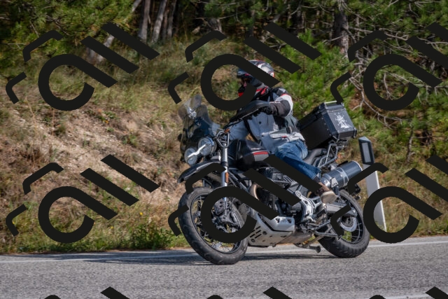 202510191408-DSC_7943_c4_