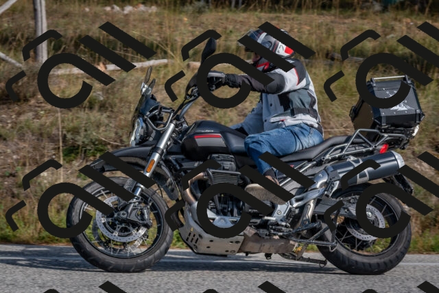 202510191408-DSC_7944_c4_