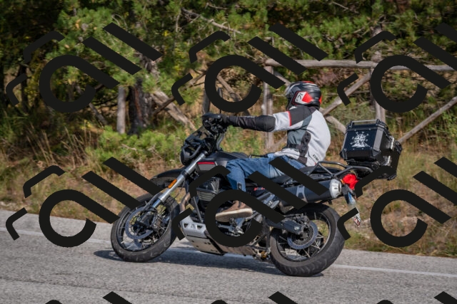 202510191408-DSC_7945_c4_