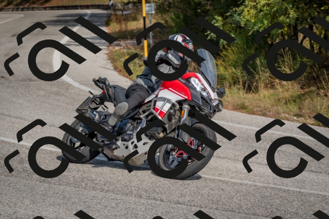 202510191410-DSC_7955_c4_