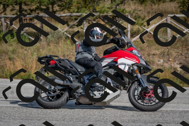 202510191410-DSC_7956_c4_