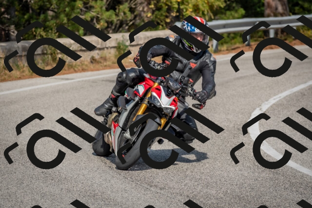 202510191412-DSC_7958_c4_