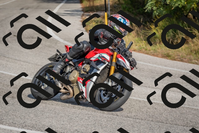 202510191412-DSC_7959_c4_