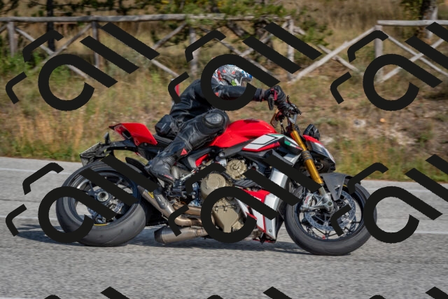 202510191412-DSC_7960_c4_