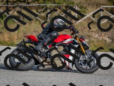 202510191412-DSC_7960_c4_