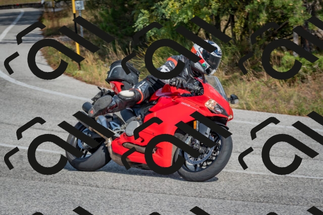 202510191412-DSC_7963_c4_