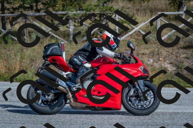 202510191412-DSC_7964_c4_