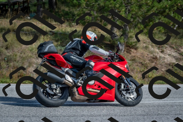 202510191412-DSC_7965_c4_