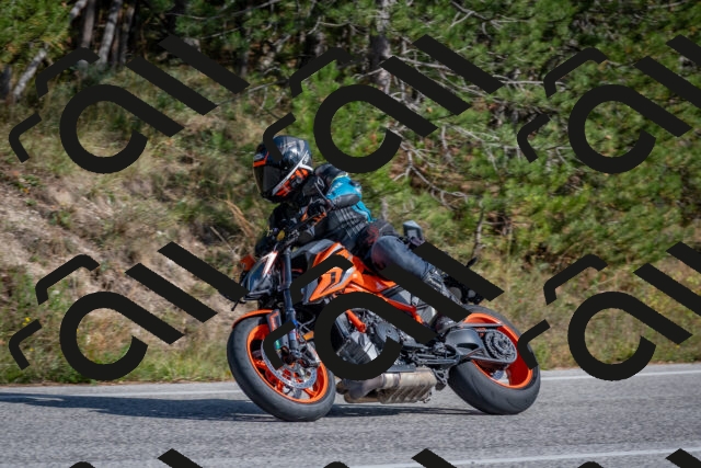 202510191419-DSC_7971_c4_