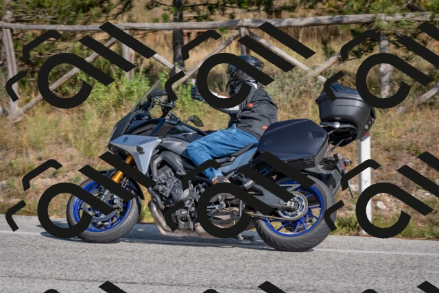 202510191420-DSC_7976_c4_