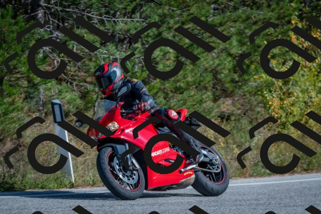 202510191420-DSC_7984_c4_