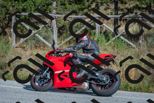 202510191420-DSC_7986_c4_