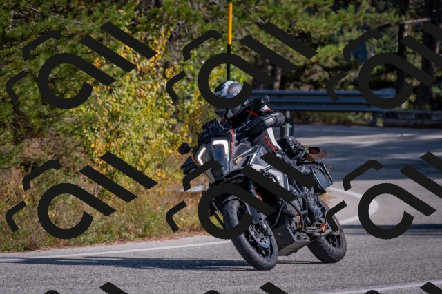 202510191422-DSC_7990_c4_