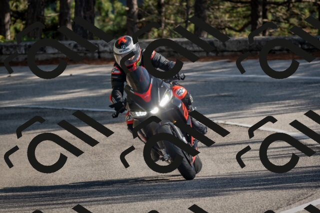 202510191422-DSC_7996_c4_