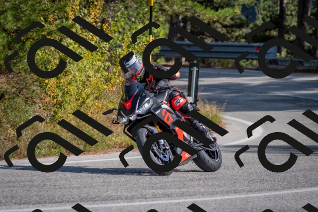 202510191422-DSC_7997_c4_