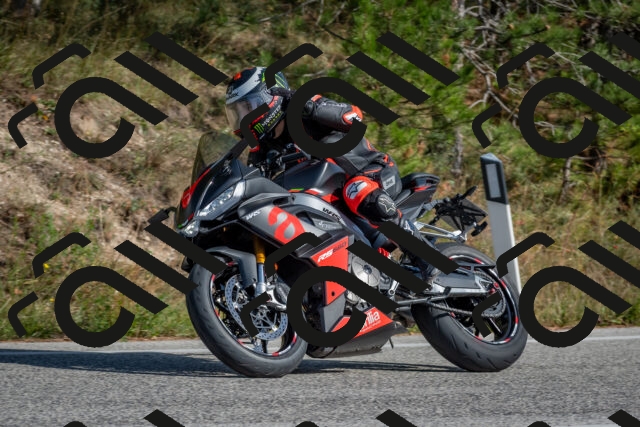 202510191422-DSC_7998_c4_