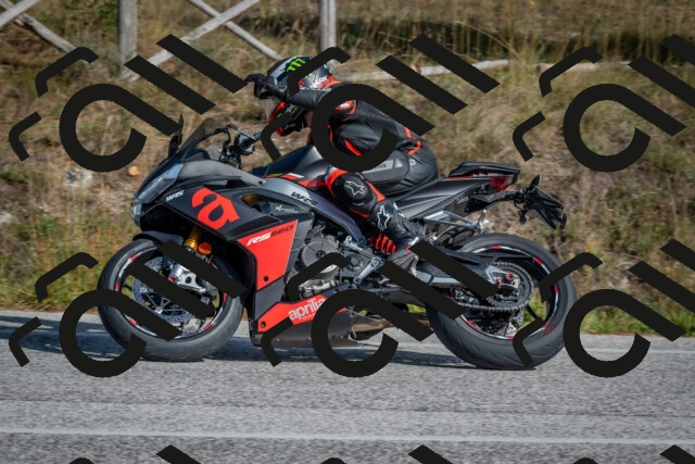 202510191422-DSC_7999_c4_