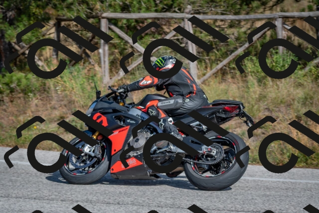 202510191422-DSC_8000_c4_