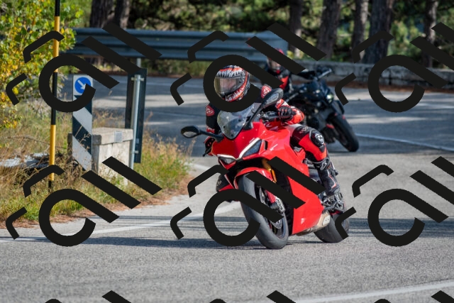 202510191422-DSC_8001_c4_