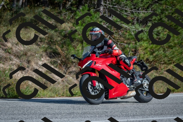 202510191422-DSC_8002_c4_