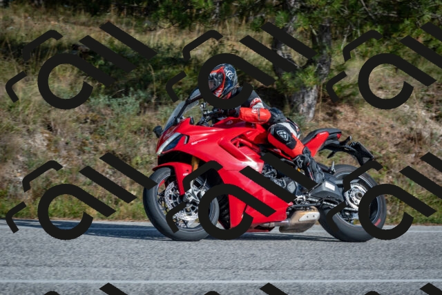 202510191422-DSC_8003_c4_