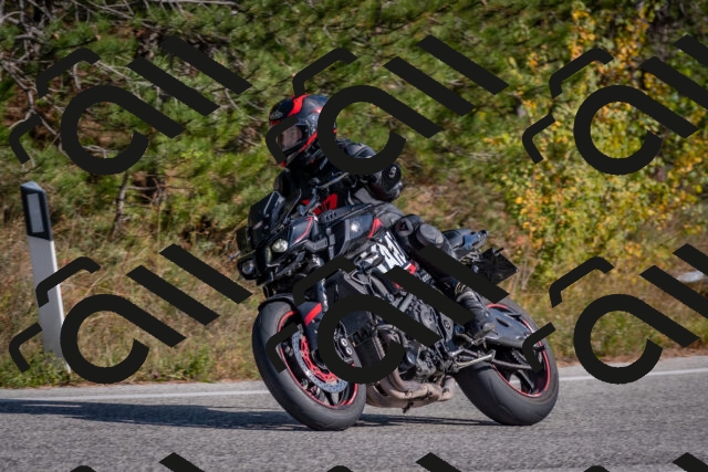 202510191422-DSC_8004_c4_