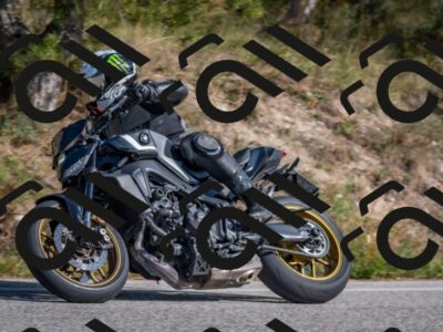 202510191422-DSC_8010_c4_