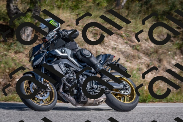 202510191422-DSC_8010_c4_