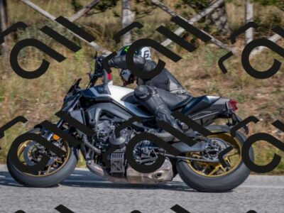 202510191422-DSC_8011_c4_