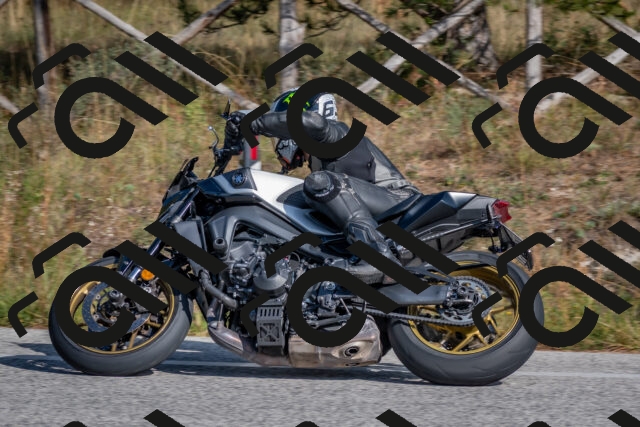 202510191422-DSC_8011_c4_