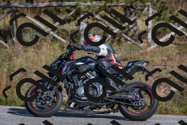 202510191422-DSC_8015_c4_