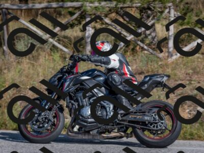 202510191422-DSC_8015_c4_