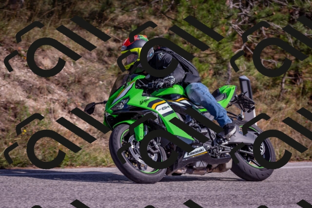 202510191425-DSC_8016_c4_