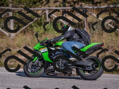 202510191425-DSC_8018_c4_