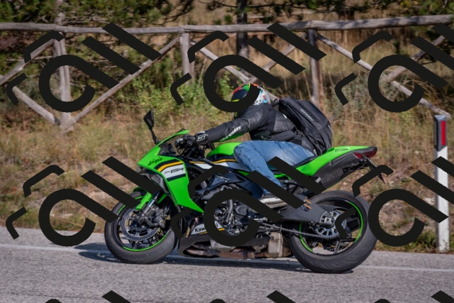 202510191425-DSC_8018_c4_