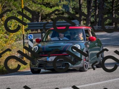 202510191428-DSC_8025_c4_