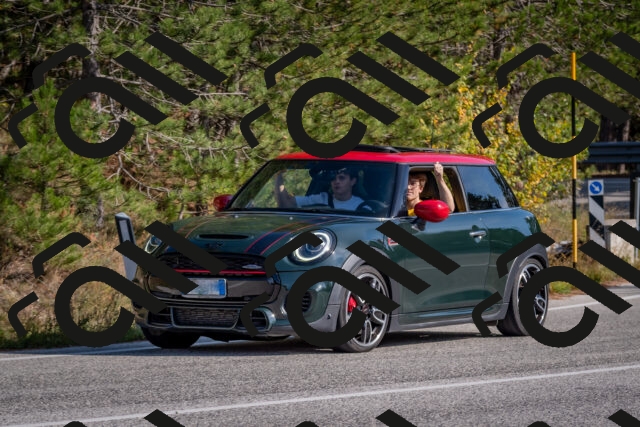 202510191428-DSC_8026_c4_