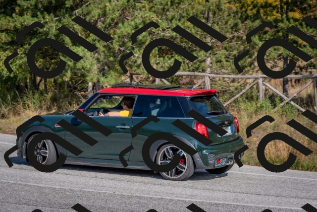 202510191428-DSC_8029_c4_